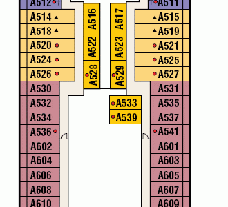 Discovery Princess Cabin A523